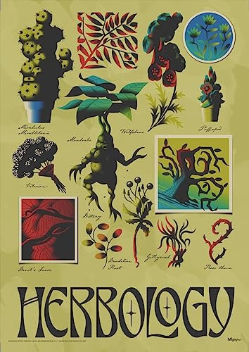 MIGHTYPRINT Harry Potter – Herbology Class Magische Pflanzen – langlebige 43,2 x 61 cm Wandkunst – nicht aus Papier – offiziell lizenziertes Sammlerstück