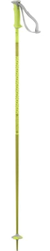Salomon Unisex-Adult Polar Alpine Poles, Gelb, 100