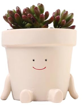 Joalpysm Cute Smily Face Plant Pot, 3.5 Inch Small Resin Flower Head Planters with Drainage, Unique Succulent Plant Pot, Flower Pots Plant Pots Indoor Outdoor for Plant Gifts