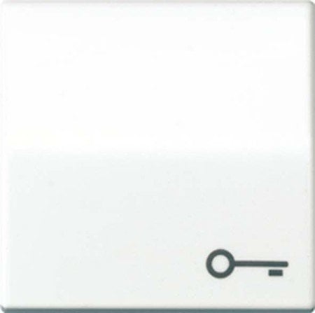 Jung AS591T Wippe mit Symbol Tuer