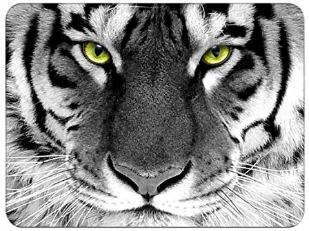 Silent Monsters Mauspad 240 x 200 mm Stoff Mousepad Tiger, rutschfest & leise, für Gaming Büro Office Homeoffice - 24 x 20 cm Mouse Pad Mat - Mausunterlage klein für alle Maus Arten
