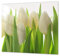 Cubre vitros de cristal templado - Tabla para cortar de cristal – Tabla para amasar y protector de vitro – UNA PIEZA (60 x 52 cm) o DOS PIEZAS (30 x 52 cm); D06 Serie Flores: Tulipanes 1