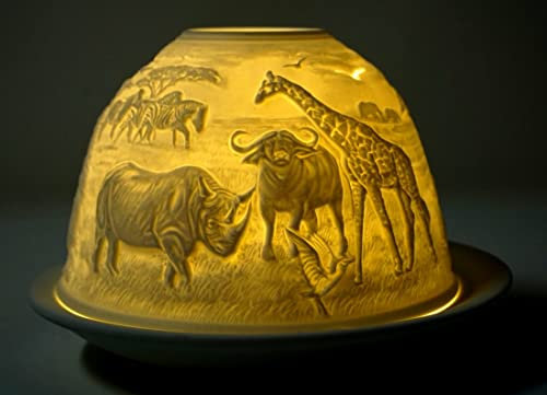 CBK-MS Dome Light Teelicht Tiere aus Afrika Giraffe Nashorn Löwe Elephant Zebra Windlicht Porzellan Teelicht ca. Ø 12 cm Höhe 8,5 cm