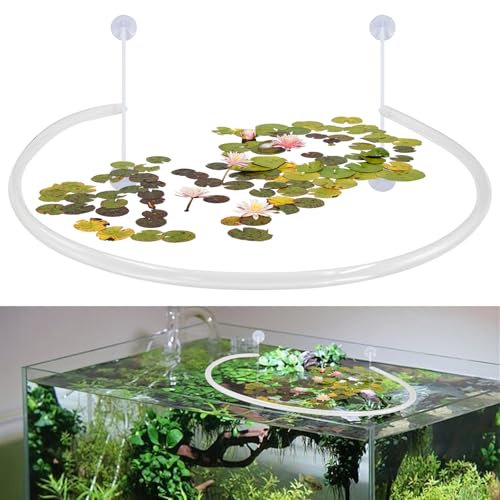 KeaJuidy Set di 2 recinti galleggianti per acquari con ventosa, accessori per acquario, anello per l'alimentazione del pesce, separa le piante galleggianti