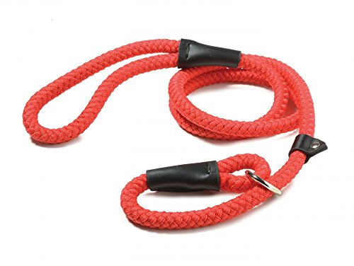 Walk 'r' Cise Nylon Rope Slip Lead, Red