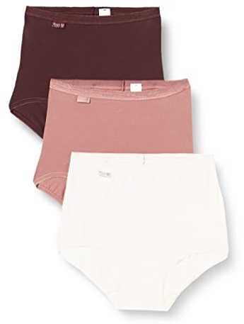 Sloggi Damen Basic+ Maxi C3P Holiday Slip, Brown - Light Combination, 44