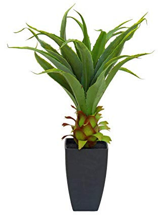 EUROPALMS Agave im Topf, Kunstpflanze, 75cm | Agave mit Topf
