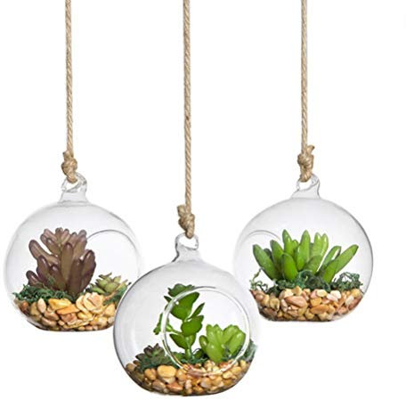 Yardwe Jardinières en Verre Suspendues Jardinières en Verre Suspendues Terrarium Verre Boule De Verre pour Plantes À Fleurs succulentes 100mm 1Pièce