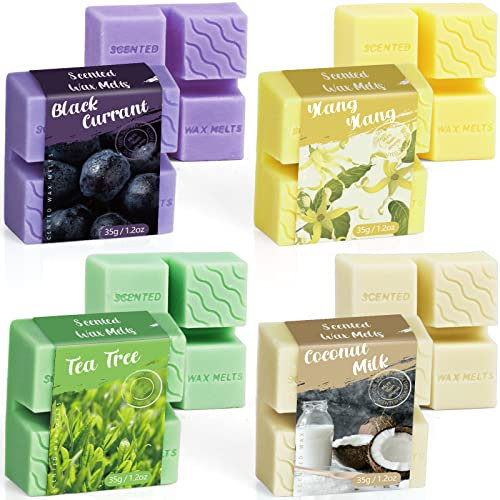 Cera profumata si scioglie, Cubi di cera aromatica per bruciatore Candele Warmer, Cera di soia si scioglie per uso domestico, Set regalo di fragranza per la casa per Natale, compleanno, 4 confezioni
