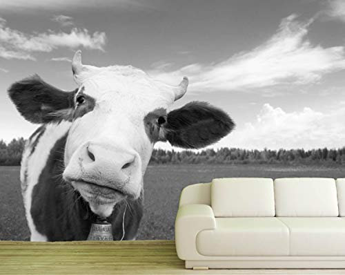 Vlies Tapete Poster Fototapete Kuh Rind braun Fleckvieh Bayern Farbe schwarz weiß, Größe 160 x 120 cm