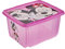 keeeper Minnie Boîte de Rangement avec Couvercle, Pivotante et Empilable, Pour Enfants, 24 L, Paulina, Rose