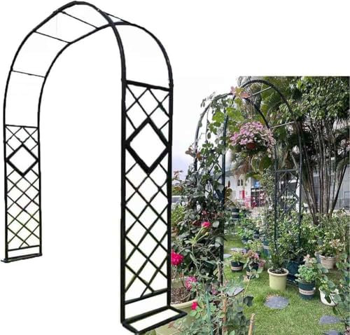 Treillis d'arche de jardin en métal blanc pour plantes grimpantes - Pergola d'extérieur robuste avec revêtement en poudre - Arches de jardin solides pour rosiers et vignes - 300 x 230 cm