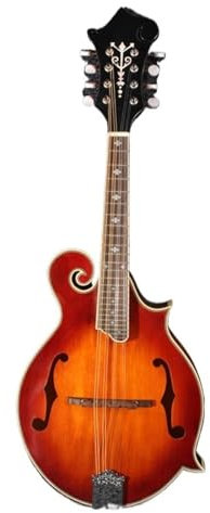 Professionell Mandoline Instrument Mandoline Professionelle Mandoline Mit Vollem Vollbrett Für Anfänger Und Erwachsene Für Üben