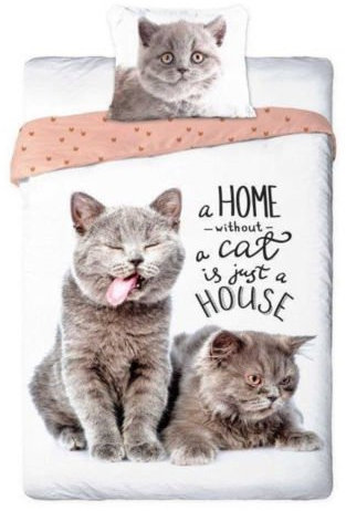 Sayes 2-TLG Jugend Bettwäsche Best Friends Katzen 140x200 cm + 70x80 cm 100% Baumwolle