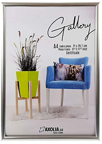 Cadre Photo 21x29.7 cm - Format A4 - en plastique avec verre synthétique - Décoration murale - Gallery - Argent