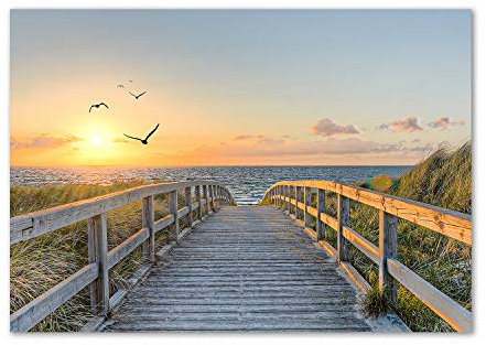 Tulup Splashback 39.37x27.56 inch / 100x70 cm Kitchen Protection Induction Cooker Wall Protection Glass Panel Tempered Glass Toughened Safe Glass Kitchen Panel Splash back - Beige - way to the beach