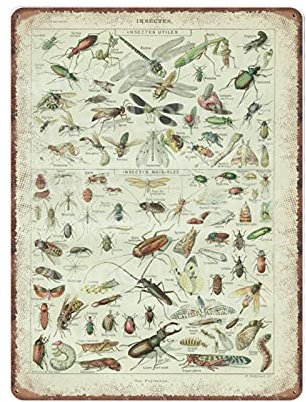 DAIERCY INSEKTS ART 1922 Vintage Old Insekten Blechschilder Käfer Kunst Biologie Poster Lustiges Vintage Metallschild Plaqu Poster Wandkunst Pub Bar Küche Garten Badezimmer Home Decor, 30 x 40 cm