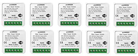 proAMEDEN Interruptor inteligente wifi 16A, MINI Smart switch wifi, Módulo interruptor, app Tuya/SmartLife, Compatible con Alexa, Google Home (10)
