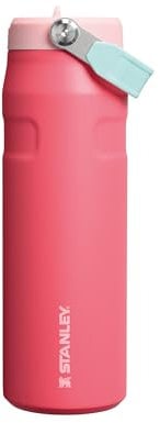 Stanley Flip Straw 2.0 Sports Water Bottle With Straw 0.7L - 10 Hours Cold - 2 Days Iced - Stainless Steel - BPA Free - Leak Resistant - Fits in Cup Holder - Dishwasher Safe - Watermelon