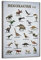 Dinosaurier-Poster Tyrannosaurus Rex (Types of Dinosaurier), ungerahmt, 30,5 x 45,7 cm