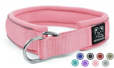 Weich Neopren Gepolstert Hundehalsband (4cm Breite) Reflektierend Hund Halsband mit Robust Nylon & Zugstopp, Bequem Zughalsband Dressurhalsband für Kleine Mittlere Große Hunde Anti-Zug Walken M,Rosa