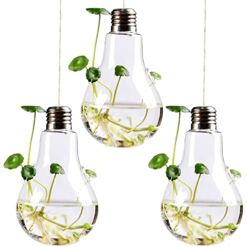 Hperu 3 fioriera sospesa del Vaso di Lampadina - fioriere a Forma di Lampadina in Vetro Trasparente con spago, Arredamento per la casa Interno Decorativo per succulente, Piccole Piante