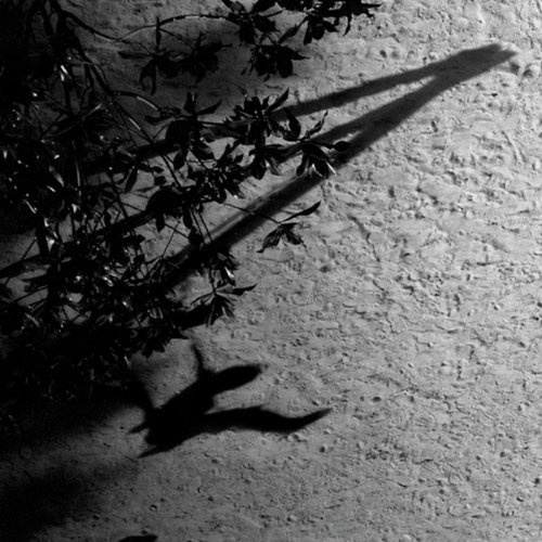 Max Richter: Blue Notebooks By Max Richter (2013-04-29)