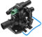 Frankberg 1 carcasa termostática compatible con C1 2005-2011 C2 2003-2008 C3 2002-2011 Nemo 2008-2010 Xsara 2003-2005 Fiesta 2001-2010 Fusion 2002-2009