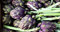 Graines Artichaut violet de Provence - Sachet de 2 grammes d'artichaut violet - Graines de style