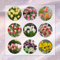 20 Pcs Tulpenzwiebeln Mischung, Tulpen Zwiebeln, Blumenzwiebeln Mehrjährig Winterhart, Frühlingsblumen Wildtulpen Zwiebeln - Tulipa Gesneriana - Balkon Blumen, Pflanzen Züchten Blumenzwiebel