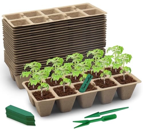 Plateaux de semis 30 pièces en Fibre de Papier, biodégradables | 30 plateaux de semis biodégradables avec trous de drainage pour graines, légumes, fleurs et herbes aromatiques.
