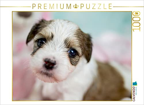 CALVENDO Puzzle Kuckuck | 1000 Teile Lege-Größe 64 x 48 cm Foto-Puzzle für glückliche Stunden