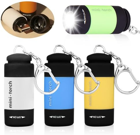 GOMETY Lot de 4 mini lampes de poche LED pour enfants - Rechargeable par USB - Avec trousseau de clés - Étanche IPX8 - Avec porte-clés - Pour le camping en plein air