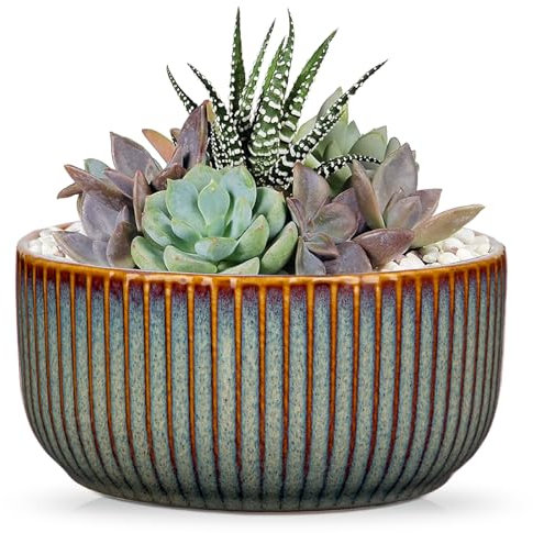 Oairse Maceta acanalada de cerámica, Bonsai de cerámica con posavasos de drenaje para plantas de interior, decoración retro para juegos de recipientes de jardín al aire libre, marrón, diámetro de