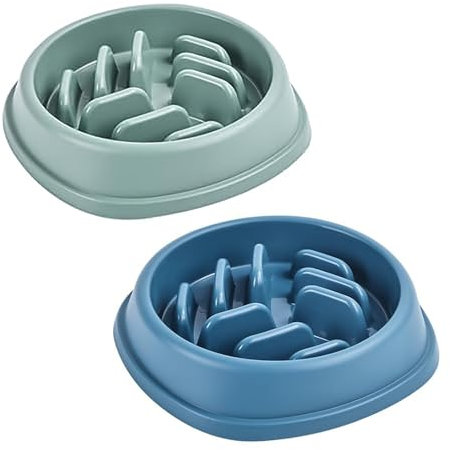 XBOGO Slow Feeder Dog Bowls, 2 Pack, Non-Slip Dog Bowl for Slow Eating, Maze Dog Food Bowl, Slow Feeder Bowl for Pets of All Breeds (Green & Blue)