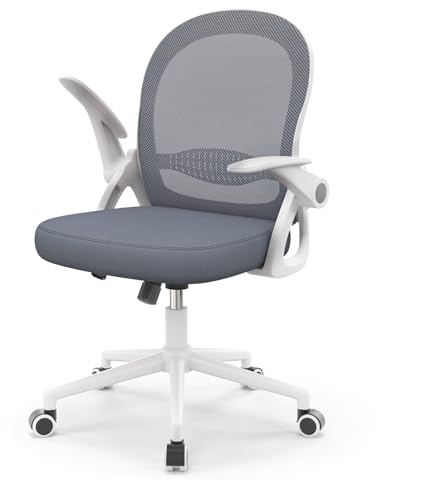 naspaluro Home Office Chair Ergonomic Desk Chair Swivel Computer Chair Mid-Back Mesh Chair with Flip-up Armrests and Lumbar Support for Home/Office - Grey-blue
