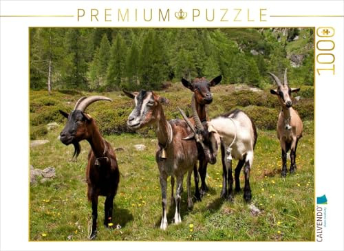 CALVENDO Puzzle Neugierige Ziegenherde | 1000 Teile Lege-Größe 64 x 48 cm Foto-Puzzle für glückliche Stunden