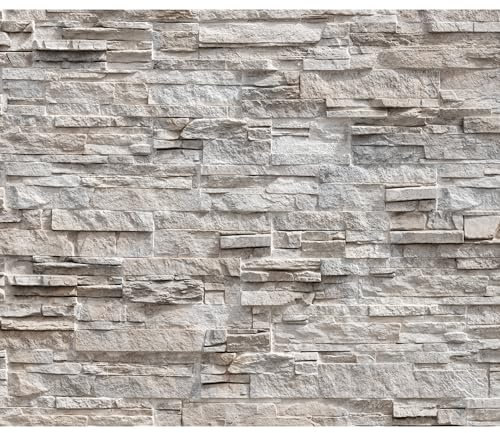 decomonkey - Papier Peint Panoramique Mur de Pierre 350x256 cm - Décoration murale moderne – Tapisserie décorative pour chambre salon - Fond de texture de pierre de ville beige