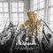 Cats Can Hear Ultrasound (Album Sampler) [Vinyl Maxi-Single]