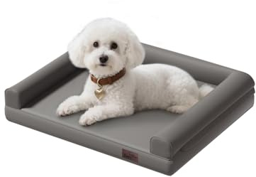 BingoPaw Orthopädisches Haustierbett 80 x 60 cm Hundebett mit Erhöhten Seitenwänden, 9 cm Höhe, Hundesofa für Kleine Hunde, Grau