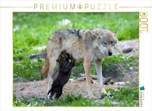 CALVENDO Puzzle Wolfswelpe beim Saugen | 1000 Teile Lege-Größe 64 x 48 cm Foto-Puzzle für glückliche Stunden
