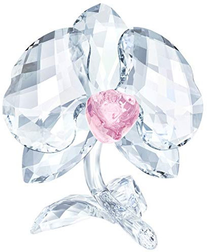 Swarovski Orchidee, Kristall, Mehrfarbig, 6,5 x 5,6 x 5,5 cm