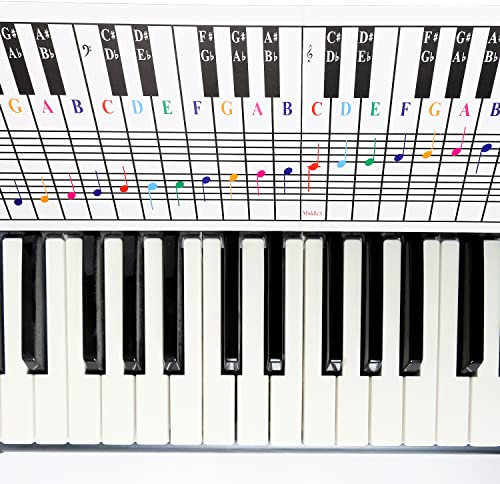 Piano and Keyboard Note Chart, Use Behind Keys Practice Keyboard & Note Chart Useful Ideal Visual Tool for Beginners Any Medium to Full Size Piano Keyboard Cover Four Octaves