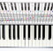 Piano and Keyboard Note Chart, Use Behind Keys Practice Keyboard & Note Chart Useful Ideal Visual Tool for Beginners Any Medium to Full Size Piano Keyboard Cover Four Octaves