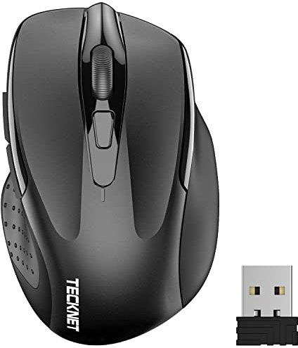 TECKNET Mouse Wireless, Pro 2.4G Mouse Senza Fili Ergonomico 2600 DPI con Ricevitore Nano USB,6 Pulsanti, 24 Mesi di Durata Della Batteriaper,Compatibile con PC,Laptop,Office Home