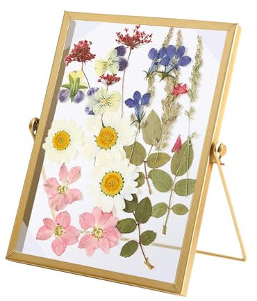 XQMMGO Marco de fotos para flores prensadas, 15 x 20 cm, doble cara, marco de cristal para exhibición de obras de arte de flores secas
