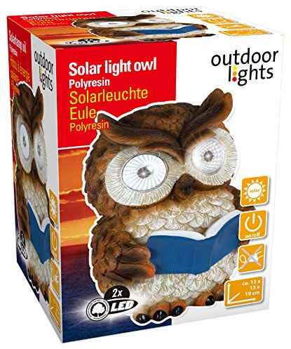 edco 871125290543 PR 2 LED Solar Eule Licht – Mehrfarbig