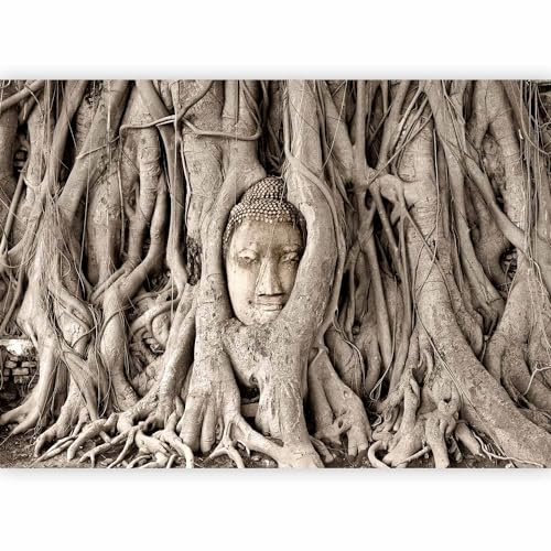 Fototapete murando 400x280 cm Vlies Tapeten Wandtapete XXL Moderne Wanddeko Design Wand Dekoration Wohnzimmer Schlafzimmer Büro Flur Buddha Bäume h-B-0061-a-a