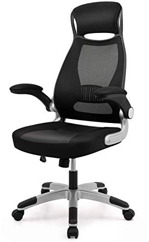 Intimate WM Heart Silla de Oficina, Silla de Escritorio ergonómica, Silla de giratoria Malla para computadora con reposabrazos Plegables, Altura Ajustable, Negro