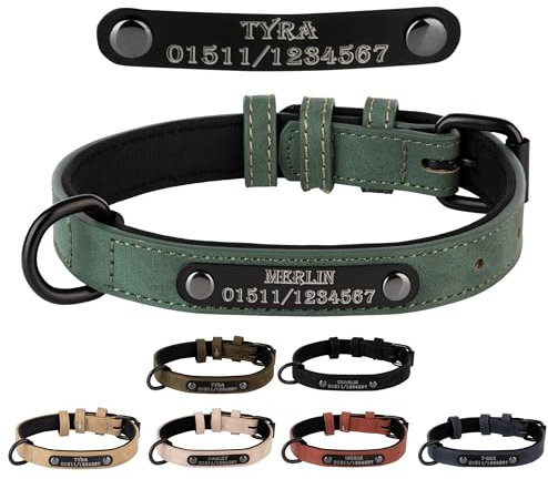 Jacks O Be Hundehalsband Halsband Name Gravur personalisiert Haustier Hund Katze Leder (Grün, L)